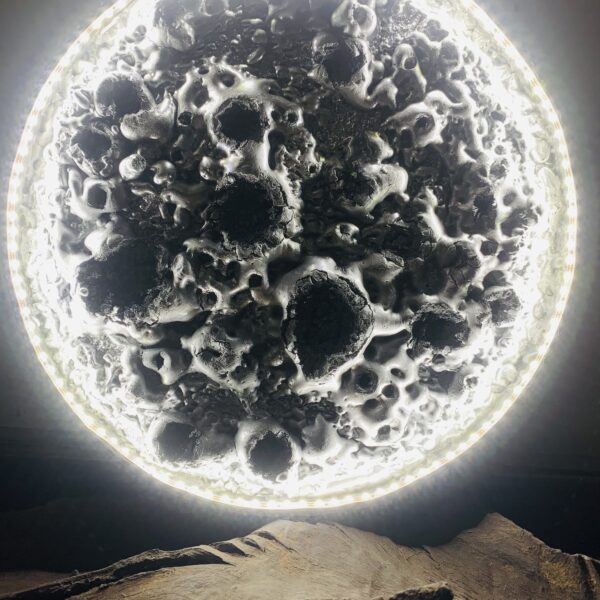 Lunar Relic